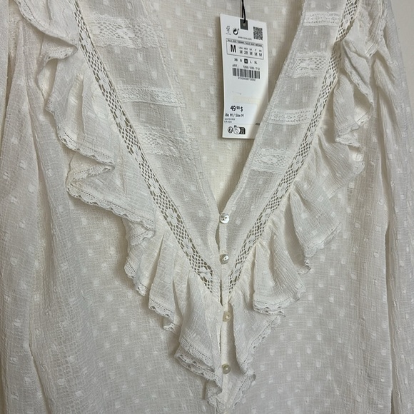 Zara Sheer Swissdot Ruffle V-Neck Crochet Trim Button Up Balloon Sleeve Blouse - Picture 11 of 16